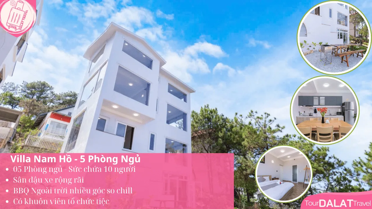 🏡 VILLA NAM HỒ – VIEW ĐỒI NÚI ĐÀ LẠT CỰC ĐẸP 🌿✨