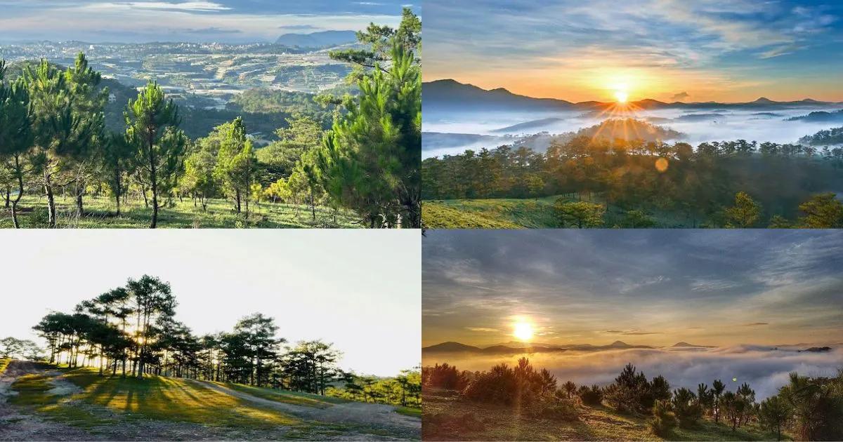 Villa Nam Hồ ( Đồi Gió Hú ) - View Hill Pine Forest DaLat