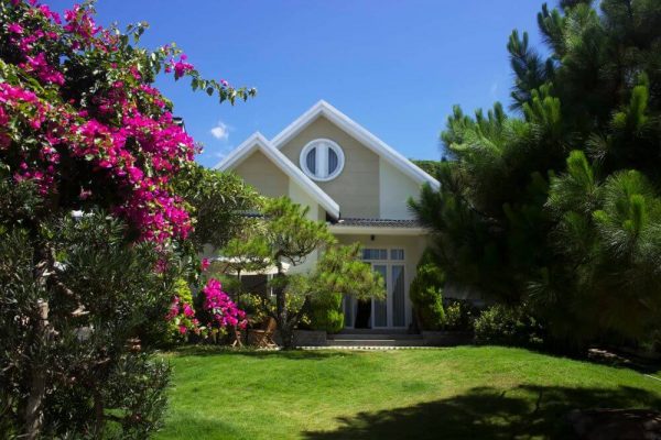 Thông Villa Đà Lạt